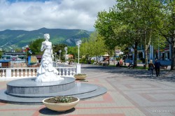 Белая невесточка - город Геленджик