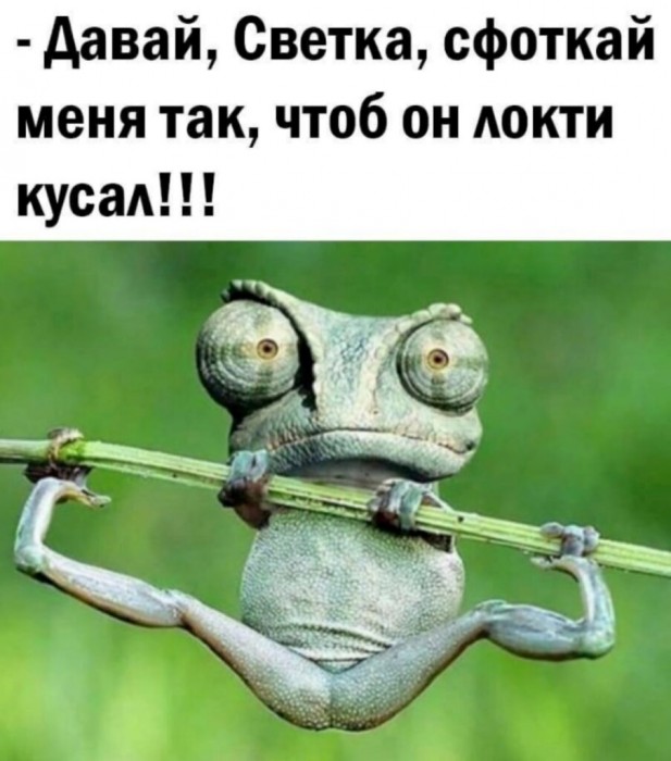 Письмо "Любимой"