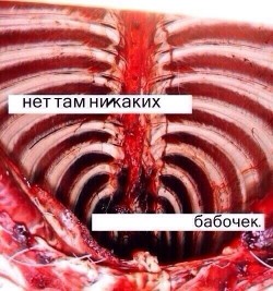 Ты течёшь по моим венам