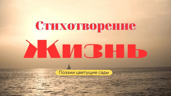 Жизнь