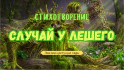 Случай у лешего
