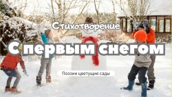 С первым снегом