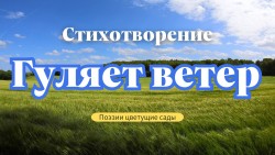 Гуляет ветер