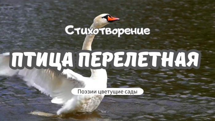 Птица перелетная