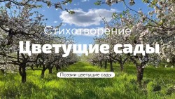 Цветущие сады