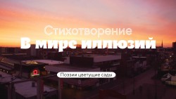 В мире иллюзий