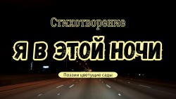 Я в этой ночи