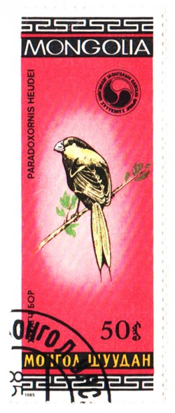 Чайная церемония