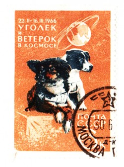 Не обидная пародия