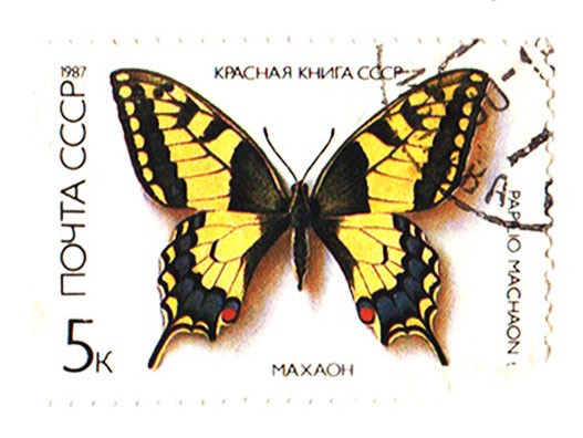Электромонтёры