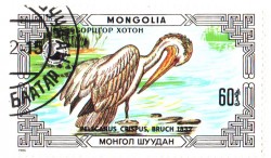 Слёзы санитарки