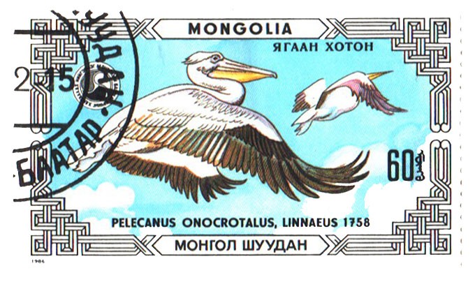 Глупая осень