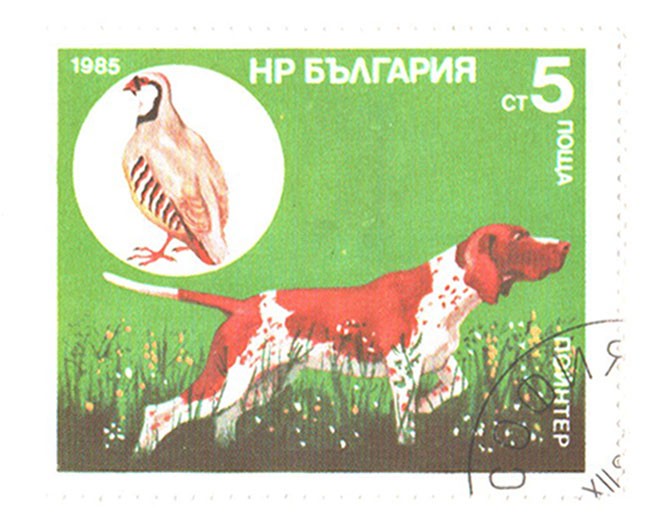 Реплики-5