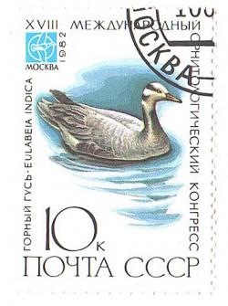 Смог в ноосфере