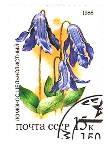 Справка для посещения форумов