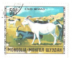 Польза от литсайтов