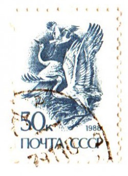 Вот такой Мухозавр