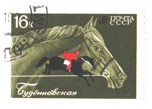Превратности моей любви (Майя Сашина)