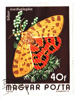 Миклухо-Маклай и папуасы