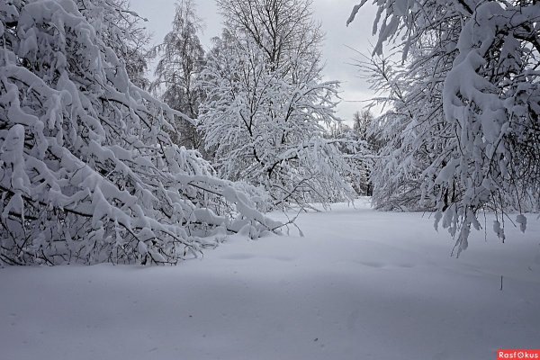 Медленно ложится белый  снег