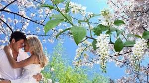 Безумства весны &mdash; панацея и яд