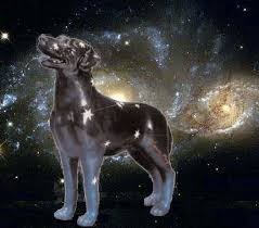 Созвездие Собаки