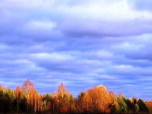 День осенний, тёплый