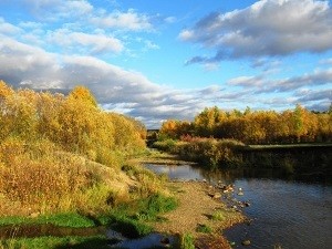 Жизнь печальная такая