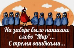 Не видала уж давненько... /коротыш/