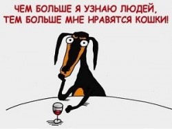 Чем больше узнаёшь людей... /междусобойчик/