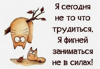Подрыхнуть лень всегда согласна! /междусобойчик/