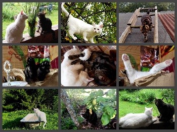 Как прекрасно жить! /диалог/