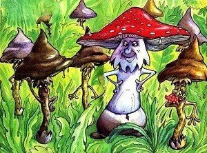 В грибном королевстве царят мухоморы!