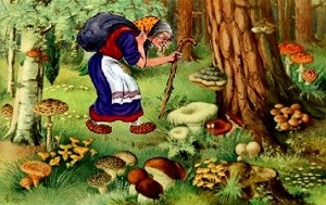 Хвастать, говорят, негоже...