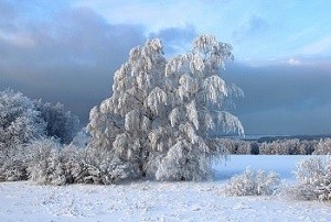 Небо снежное /коротыш/