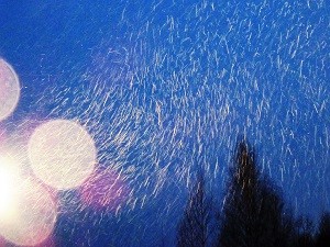 Снег белой стеною несётся... /коротыш/