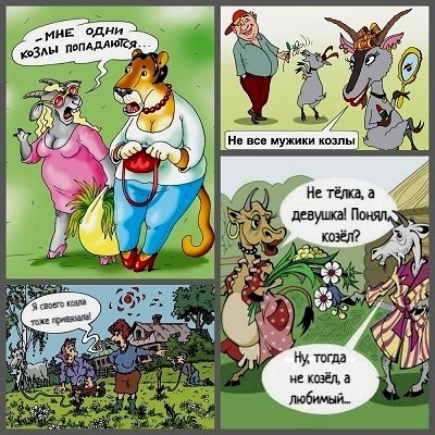 Все - козлы?! /диалог/