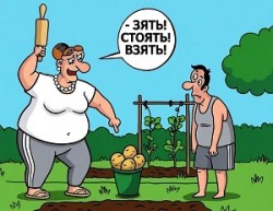 Но тёще зять такой на кой? /микс/