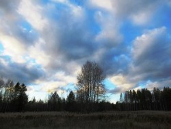 В небе облака, смелея... /коротыш/