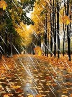Уходит  Август...