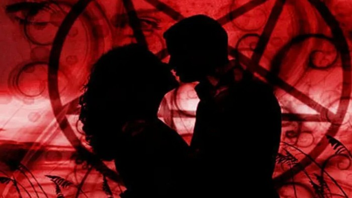 Amor carmine