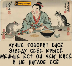 Про Басё и его кисё