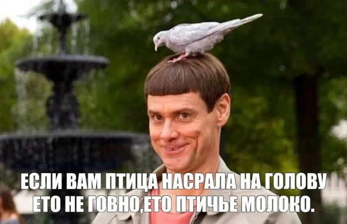 Птичка&ndash;сиричка (собирательный образ)