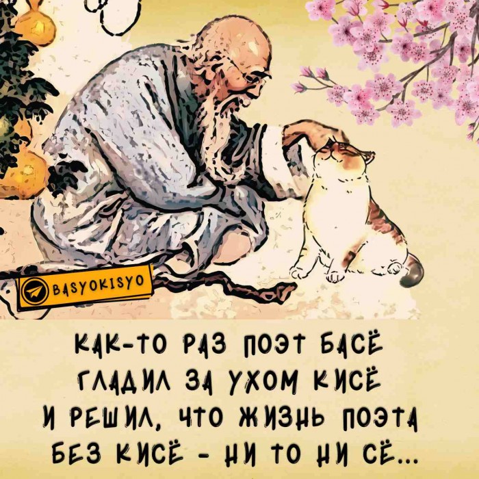 Пишу хайку и хокку с танкой