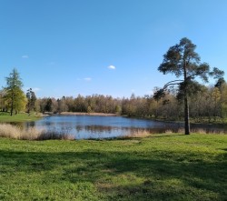 Ведь и я доверялась обману