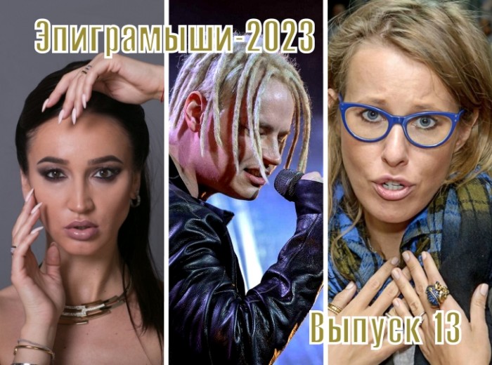 Эпиграммы на медийных популярных людей 2023. Выпуск 13