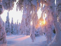 Порой не приметные вещи