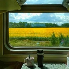 Дорога