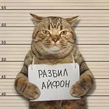 Шутки юмора -15
