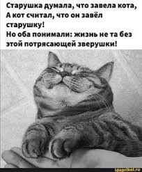 Шутки юмора -13